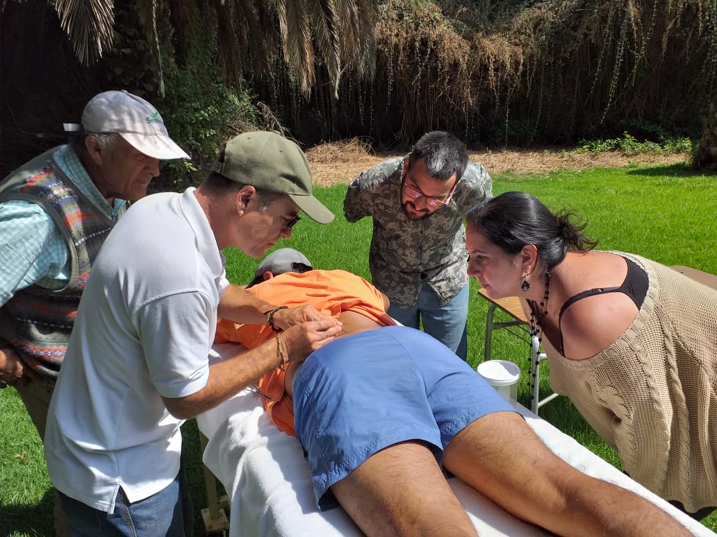 curso feb (6)