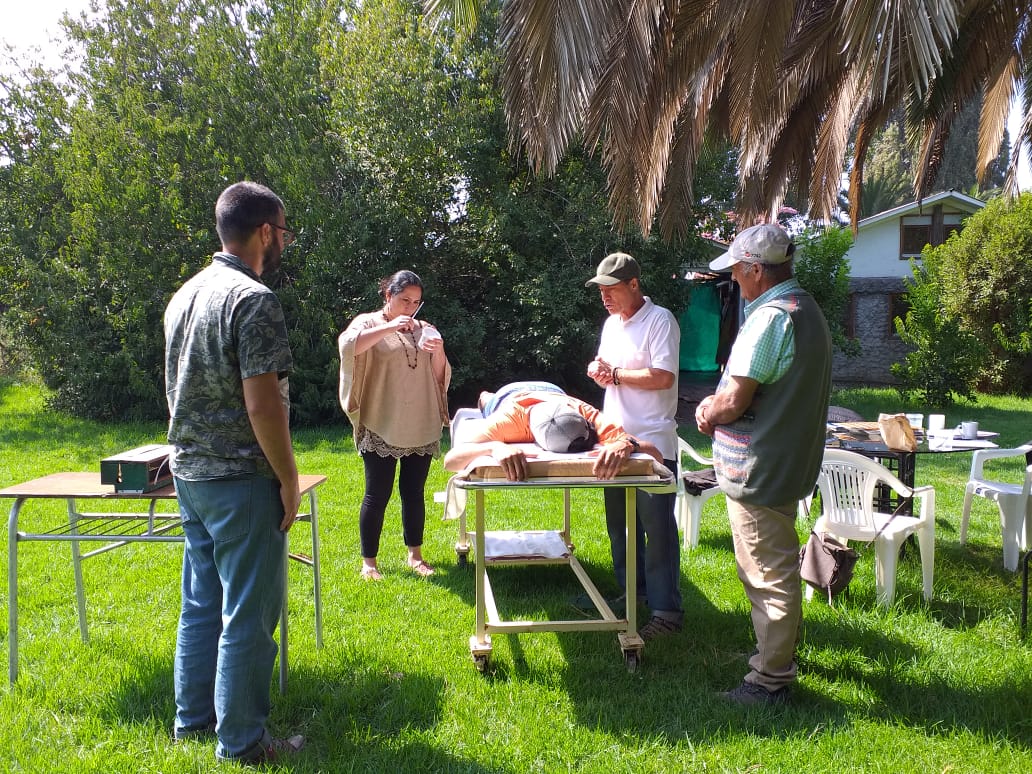 curso feb (7)