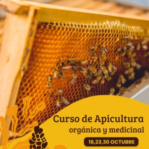 curso de apicultura