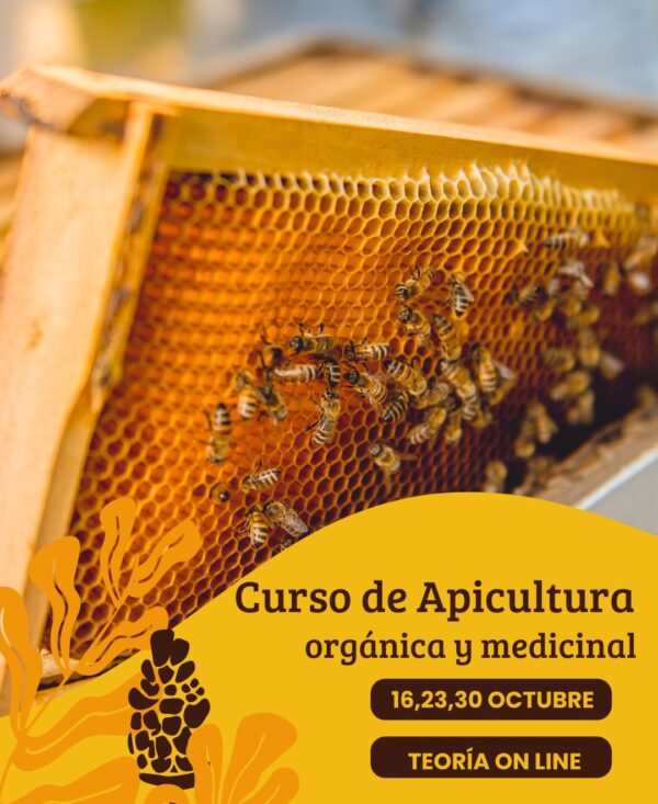 curso de apicultura