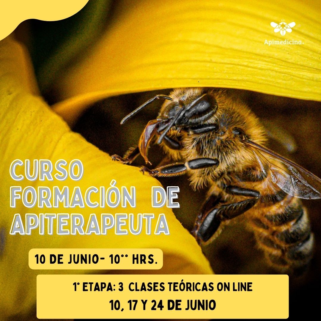 apiterapeutas junio 2023