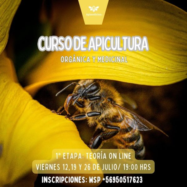 curso de apicultura orgánica y medicinal con apimedicina