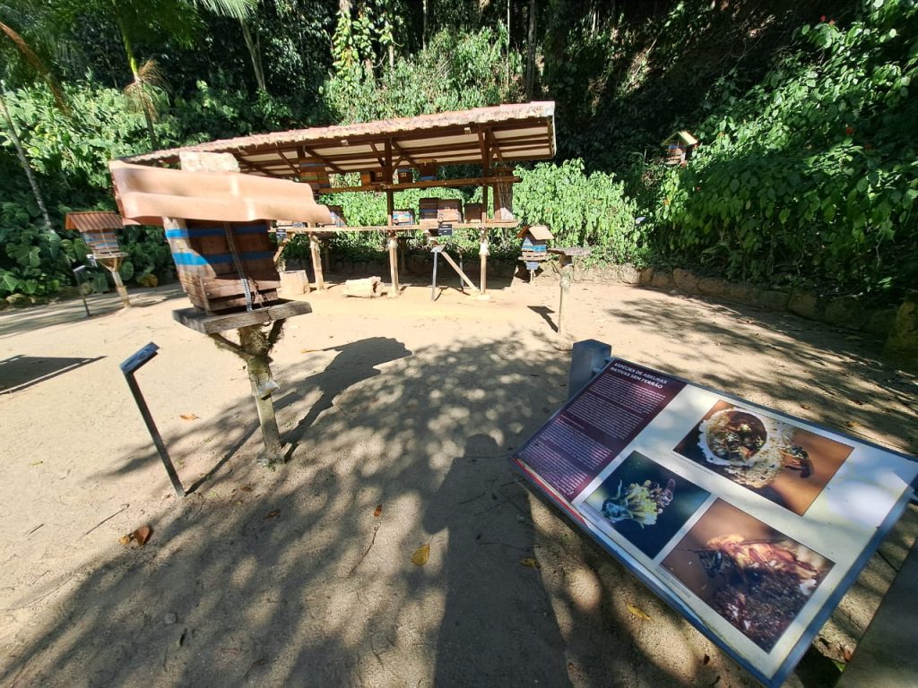 meliponario jardin botanico rio de janeiro apimedicina 