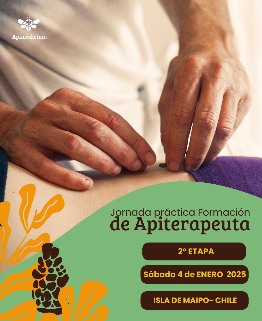 práctica formación de apiterapeuta 