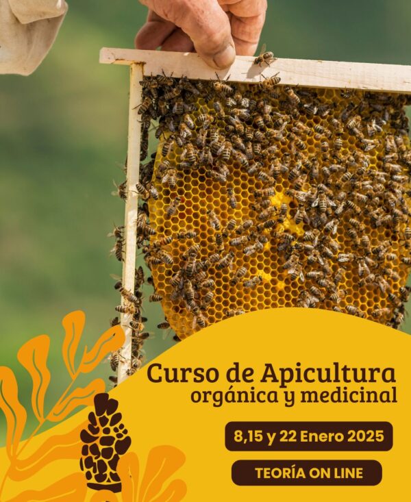 Curso de Apicultura orgánica y medicinal