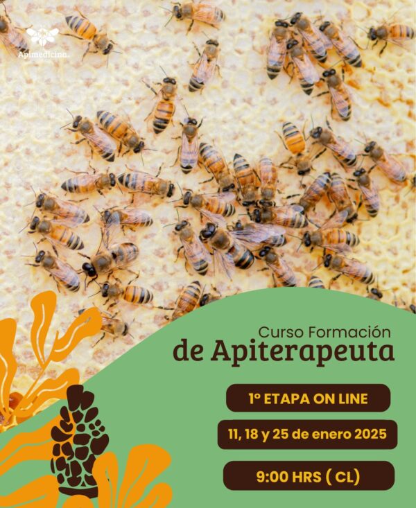 Curso Formación de Apiterapeuta 2024