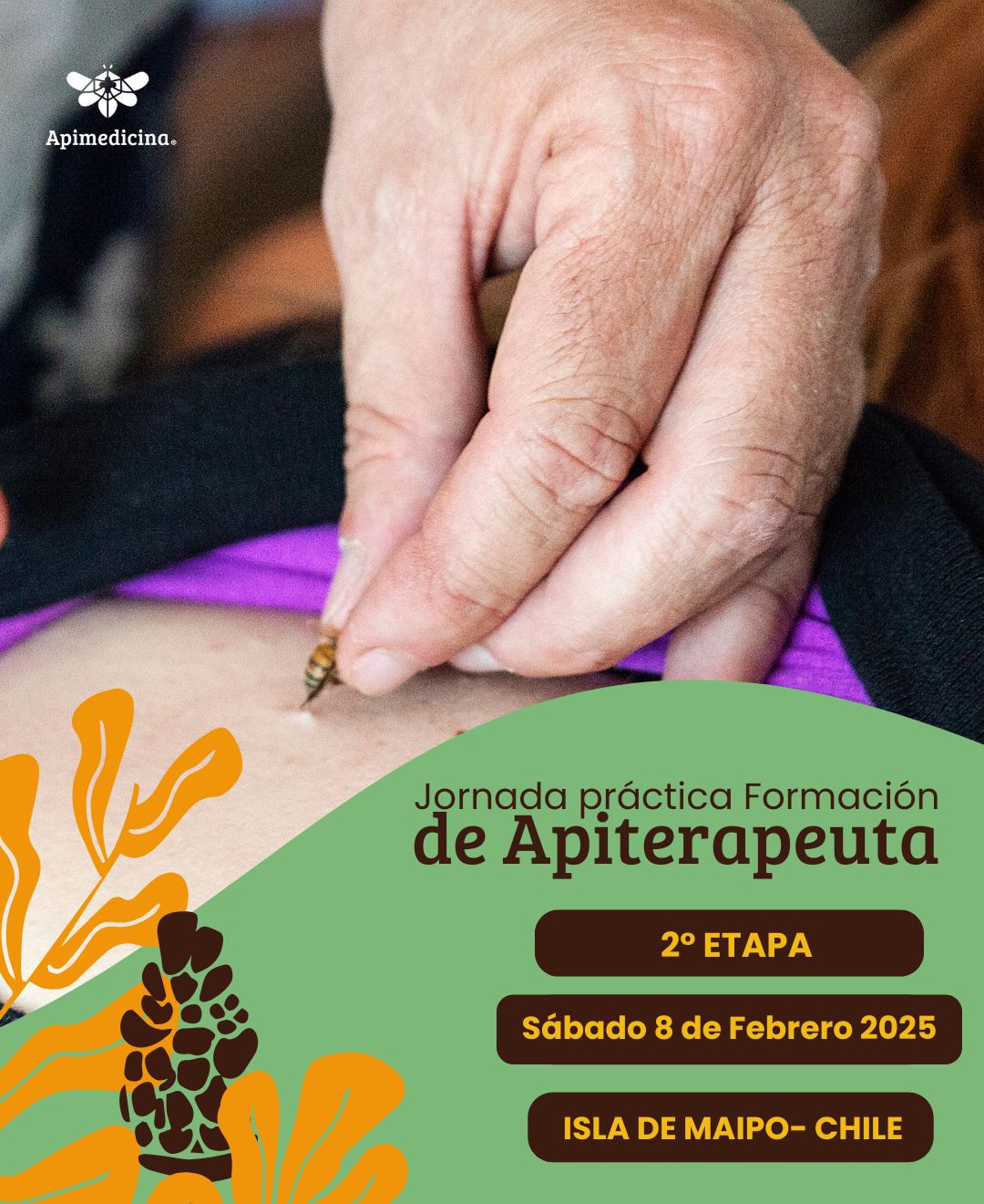 práctica formación de apiterapeuta 