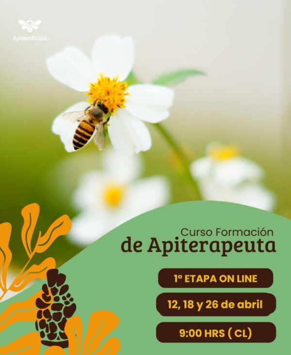 curso apiterapia