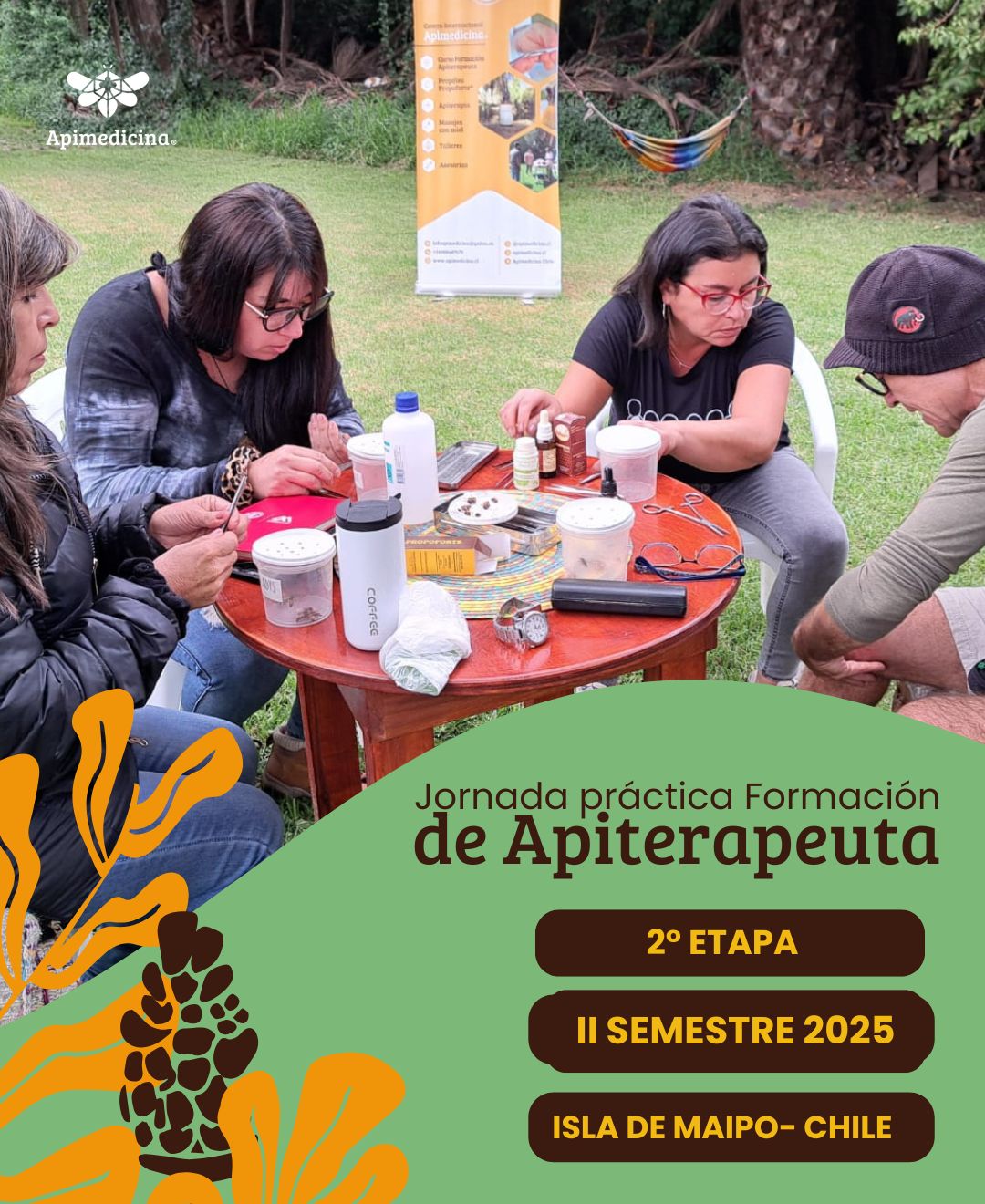 7 practica apiterapia