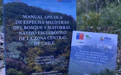 U. de Chile lanza manual apícola con claves botánicas para una producción sustentable de miel