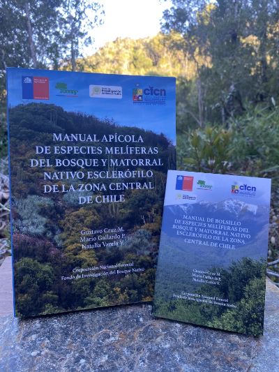 U. de Chile lanza manual apícola con claves botánicas para una producción sustentable de miel
