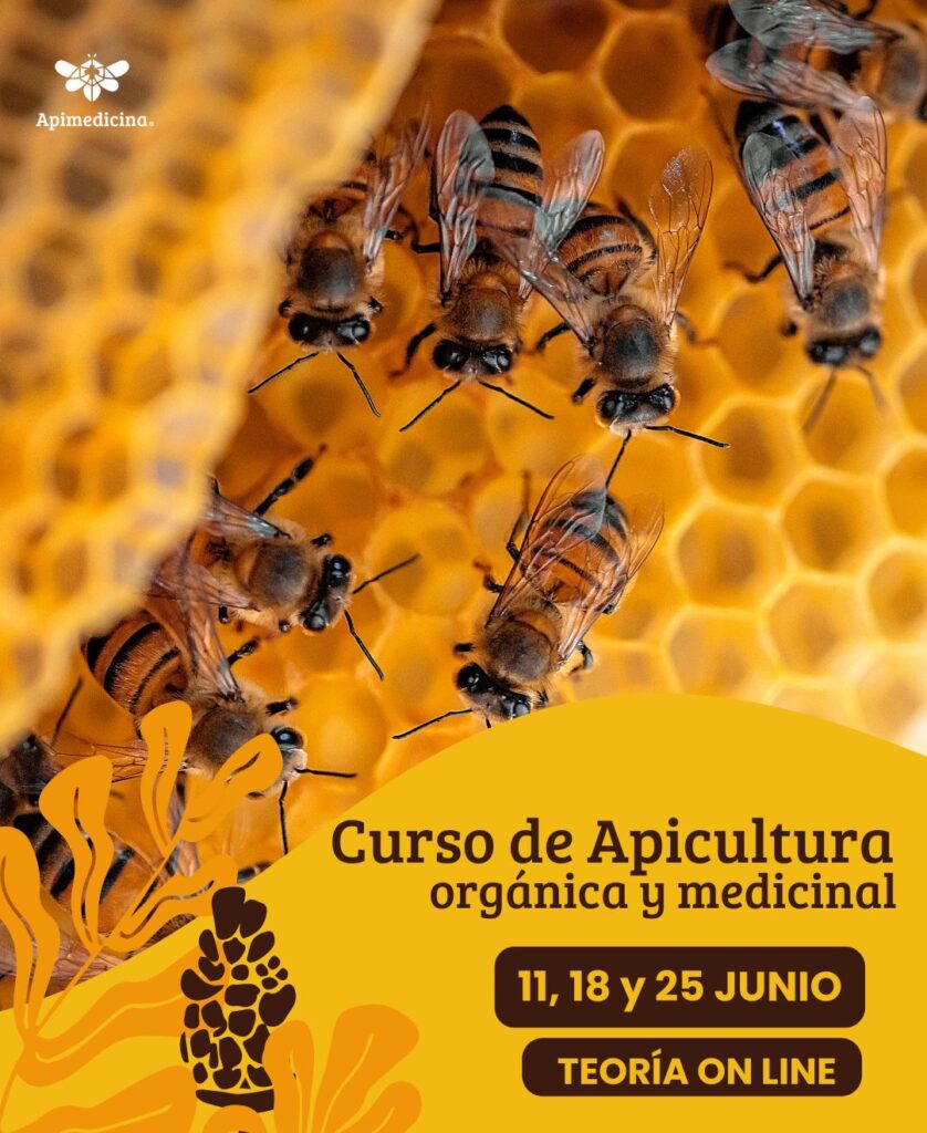 curso de apicultura