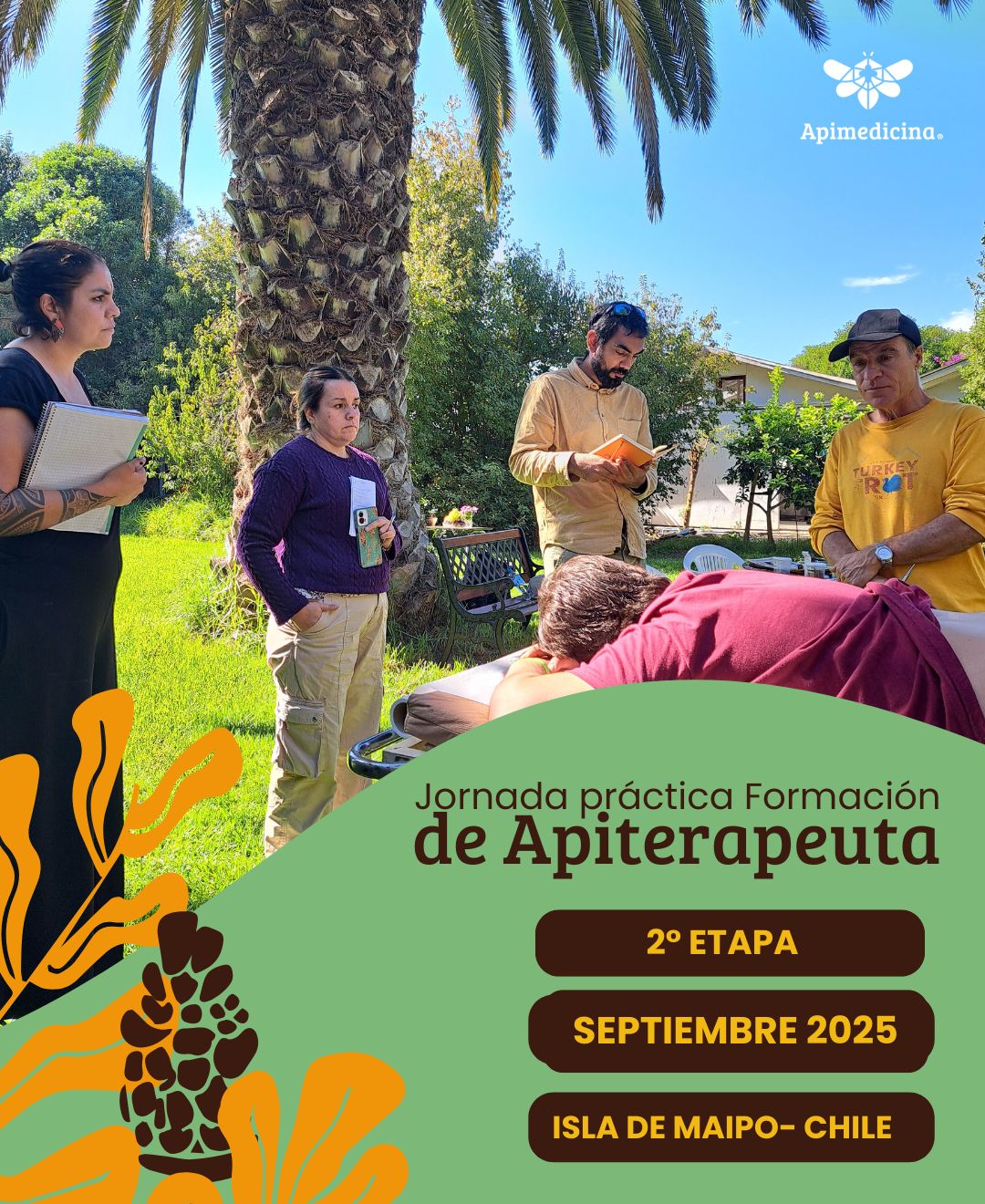 7 curso apiterapeuta