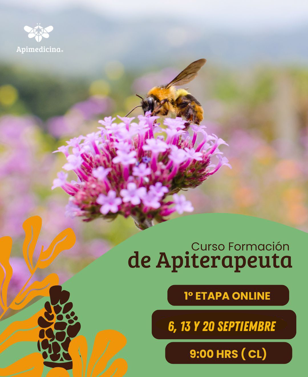 Curso de apiterapia 2025 CURSO FORMACIÓN DE APITERAPEUTA
