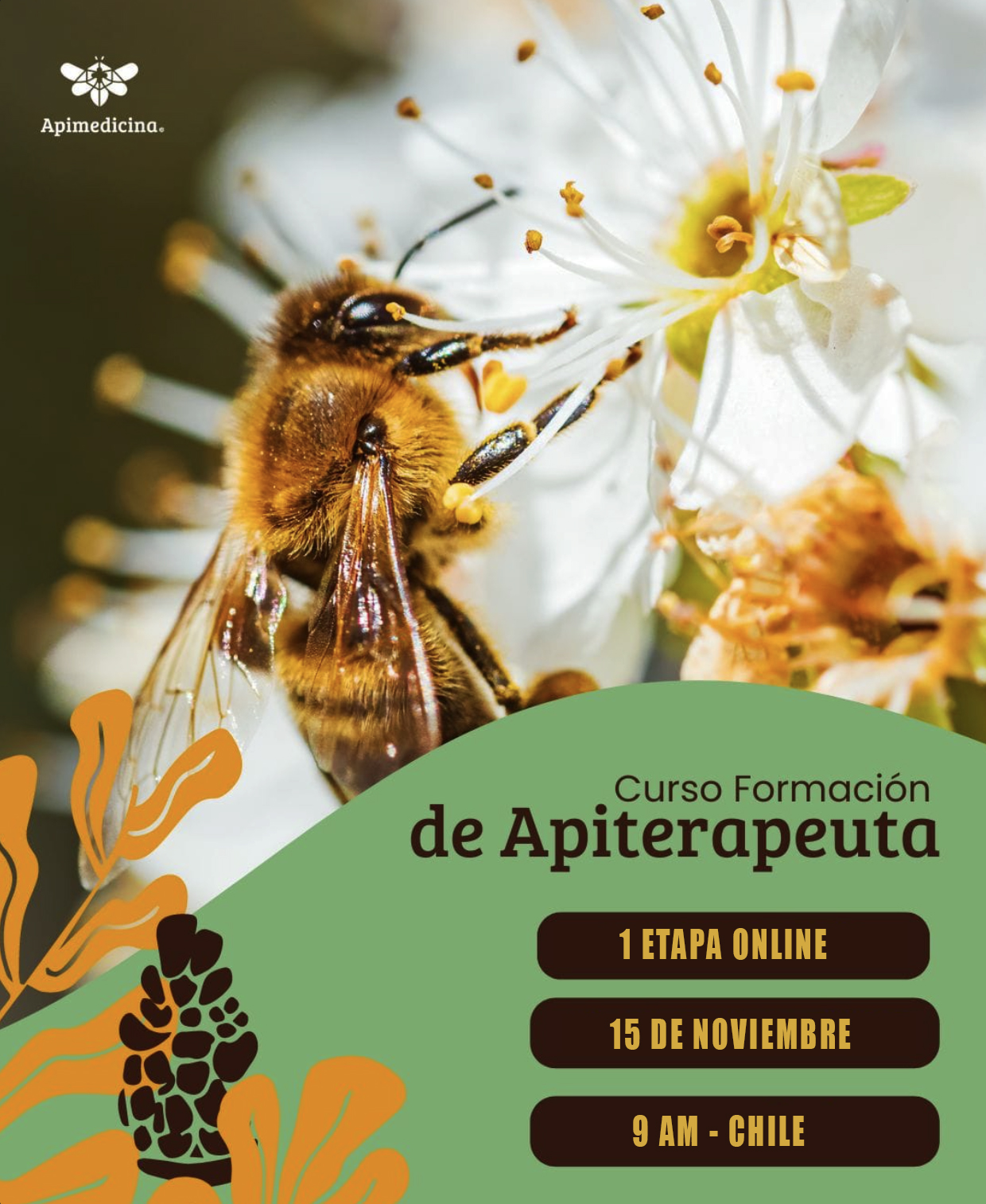 CURSO FORMACIÓN DE APITERAPEUTA 
