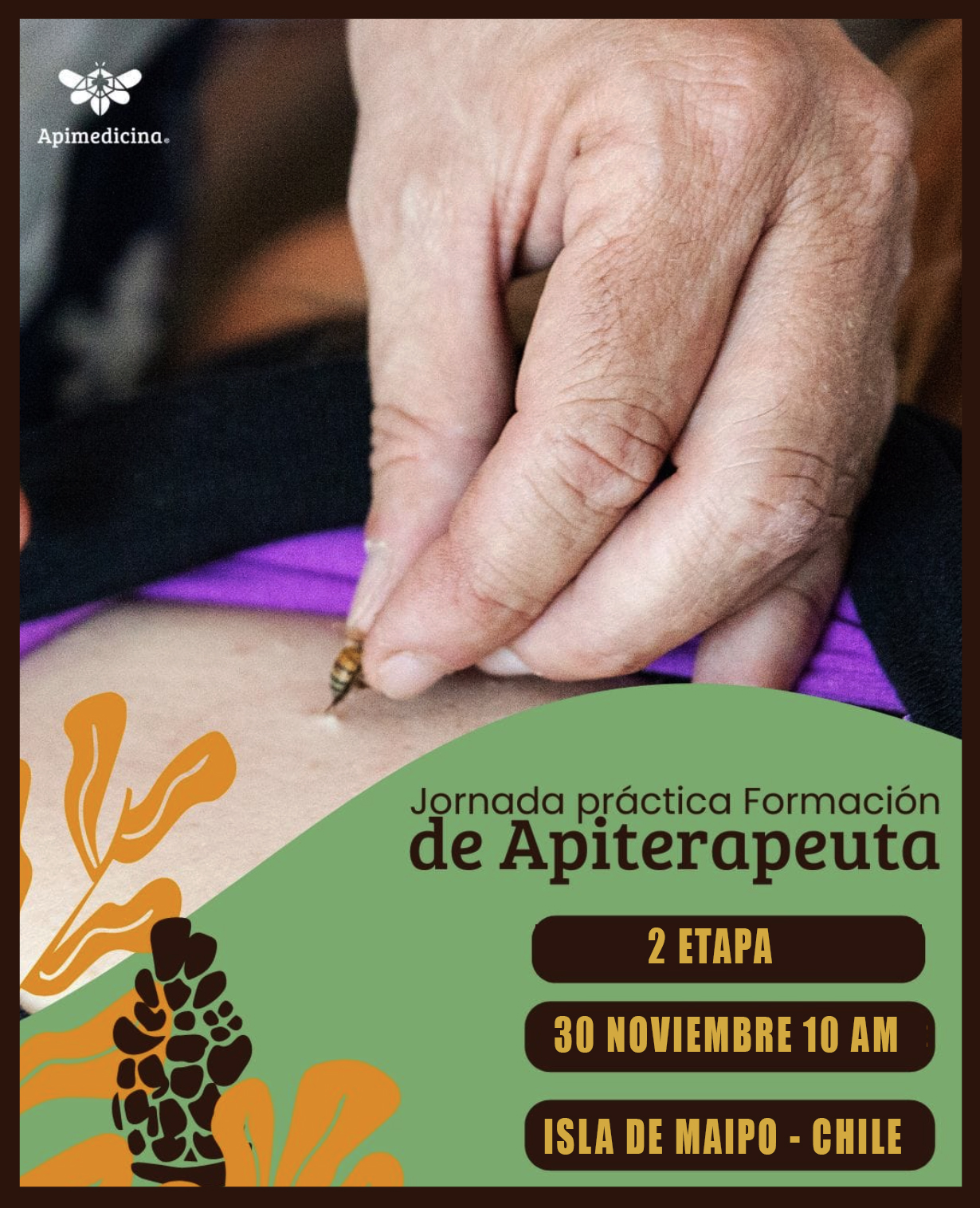 CURSO FORMACIÓN DE APITERAPEUTA 