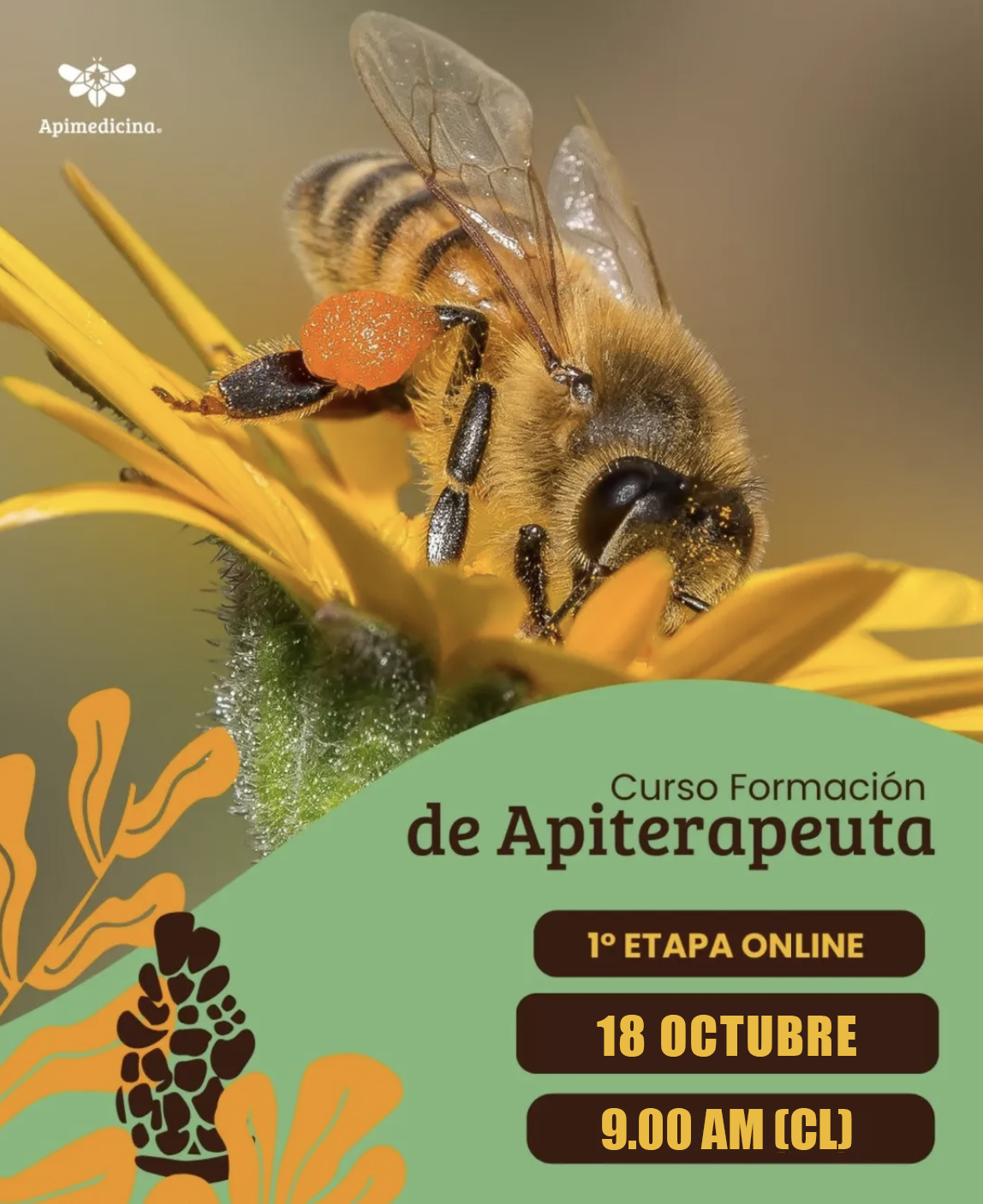 CURSO FORMACIÓN DE APITERAPEUTA 