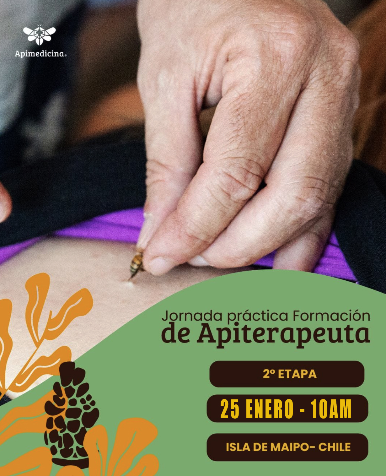 CURSO FORMACIÓN DE APITERAPEUTA 