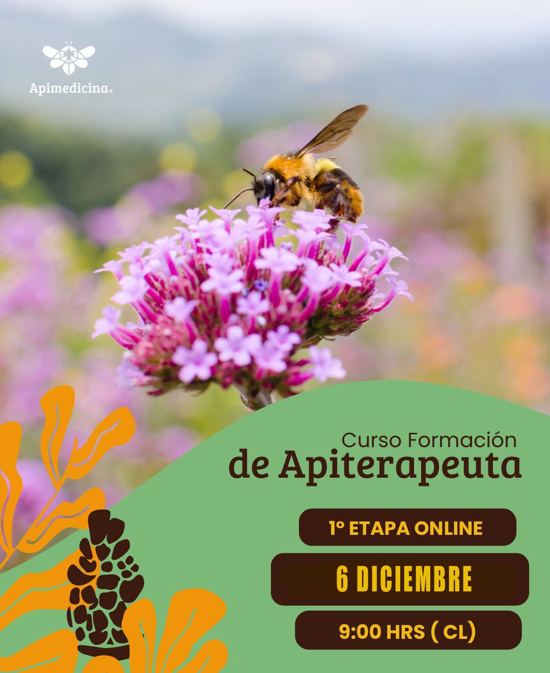 CURSO FORMACIÓN DE APITERAPEUTA 