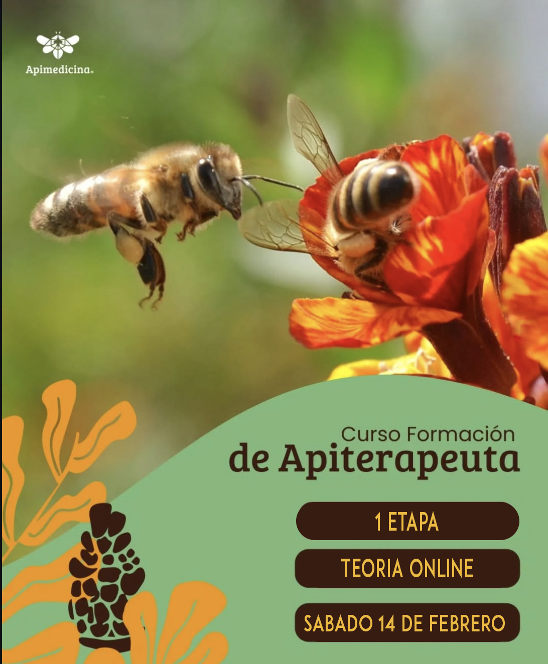 CURSO FORMACIÓN DE APITERAPEUTA 