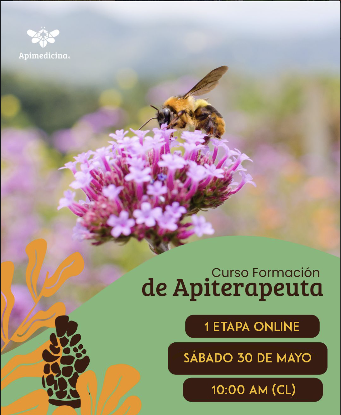 CURSO FORMACIÓN DE APITERAPEUTA 