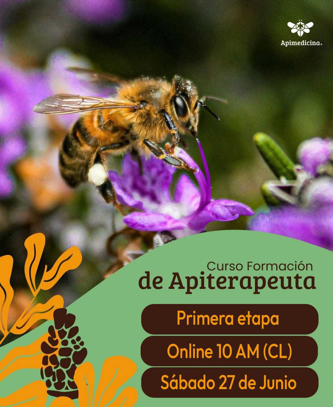 CURSO FORMACIÓN DE APITERAPEUTA 