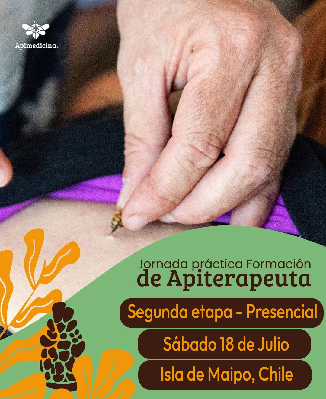 CURSO FORMACIÓN DE APITERAPEUTA 