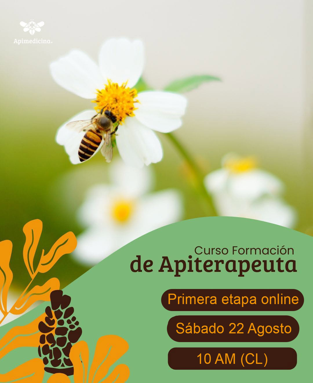 CURSO FORMACIÓN DE APITERAPEUTA 