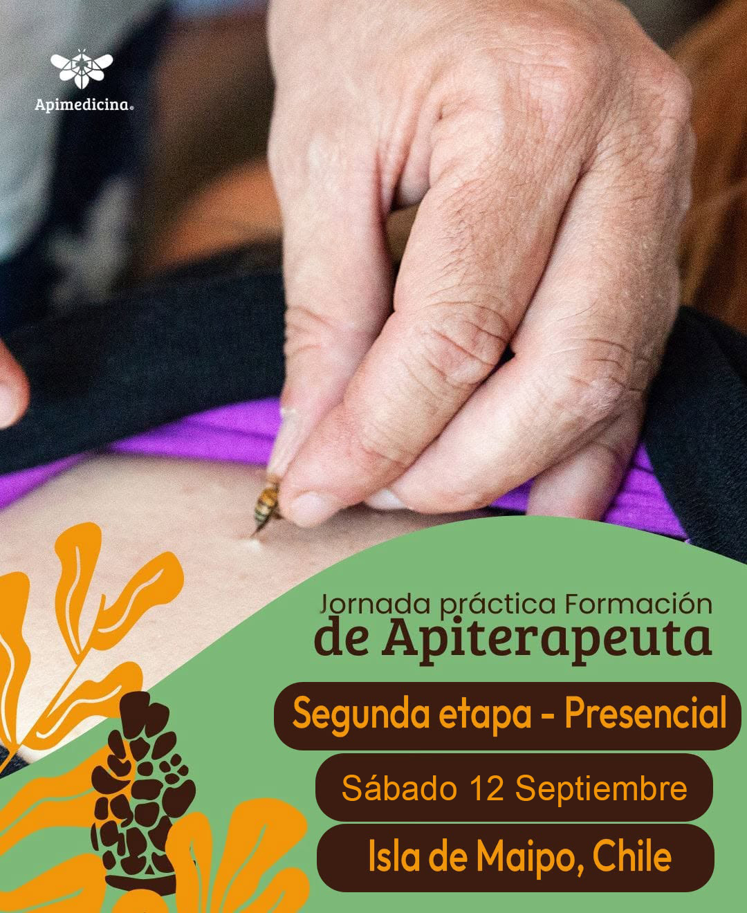 CURSO FORMACIÓN DE APITERAPEUTA 