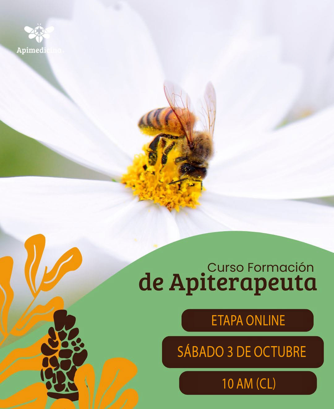 CURSO FORMACIÓN DE APITERAPEUTA 