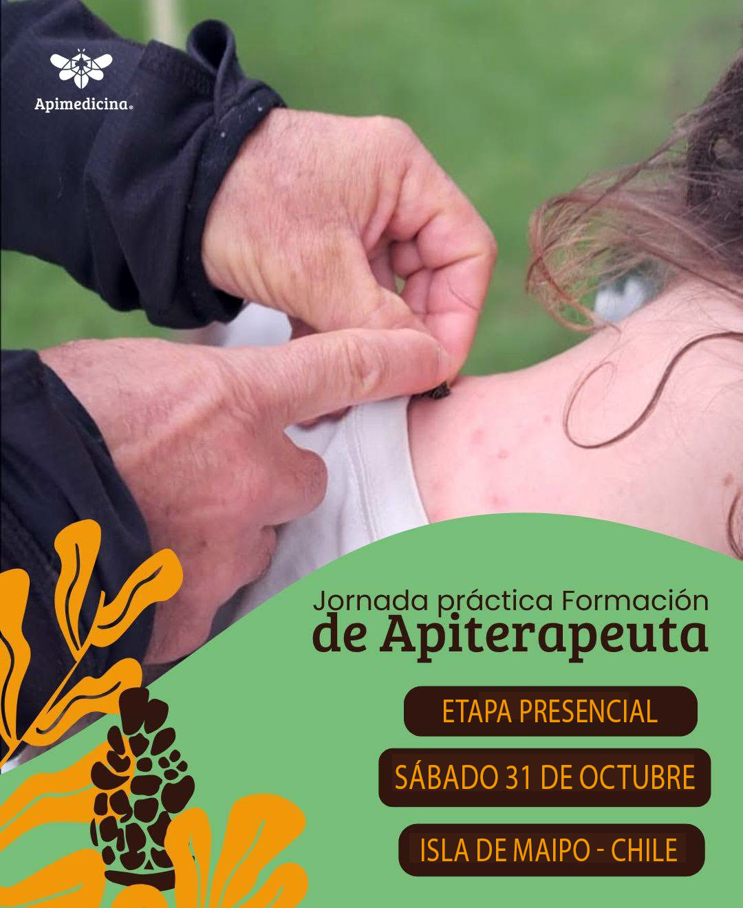 CURSO FORMACIÓN DE APITERAPEUTA 
